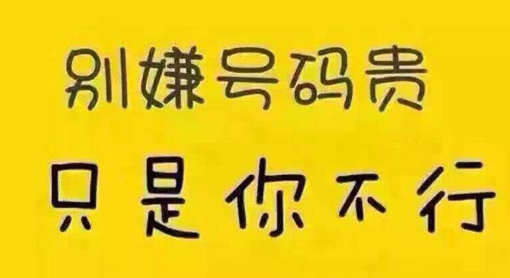 手机靓号1390号段