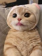 1到9的数字解释